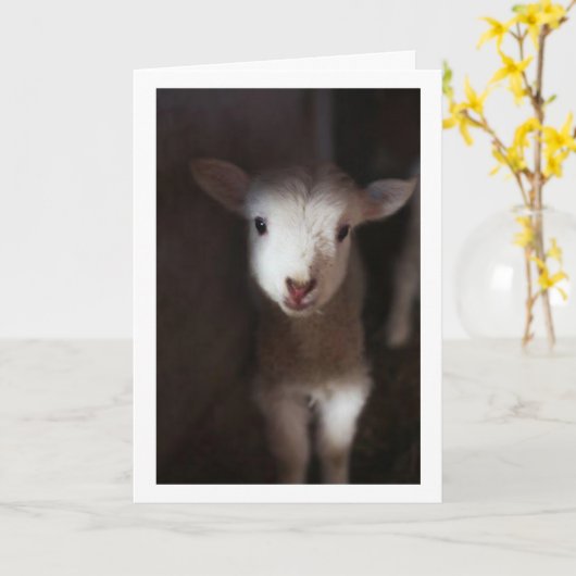 MAG DAN EEN BABY ZIJN, MAAR IK KAN WEL ZEGGEN **VR KAART (Gele Bloem)