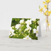 Mag de Groeten van de alle-Gelegenheid van de Kaart (Gele Bloem)