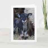 MAG EEN "KIND" ZIJN, MAAR IK KAN ZEGGEN **MERRY CH KAART (Voorkant)