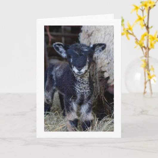 MAG EEN "KIND" ZIJN, MAAR IK KAN ZEGGEN **MERRY CH KAART (Gele Bloem)