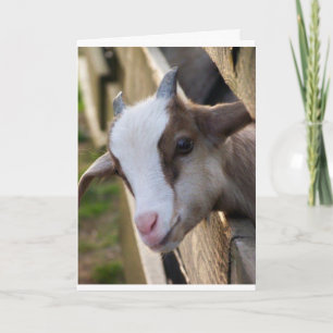 MAG EEN "KIND" ZIJN, MAAR IK KAN ZEGGEN **MERRY CH KAART