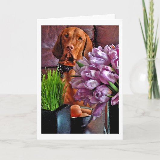 Mag ik één van die eieren hebben? feestdagen kaart (Voorkant)