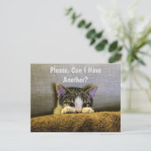 Mag ik er nog een? Funny Kitten Briefkaart (Staand voorkant)