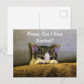 Mag ik er nog een? Funny Kitten Briefkaart (Voorkant / Achterkant)