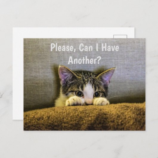 Mag ik er nog een?  Funny Kitten Briefkaart (Voorkant / Achterkant)