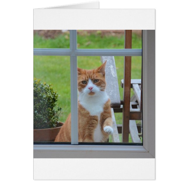 Mag ik in Pumpkin komen? (Voorkant)