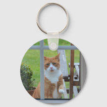 Mag ik in Pumpkin komen?