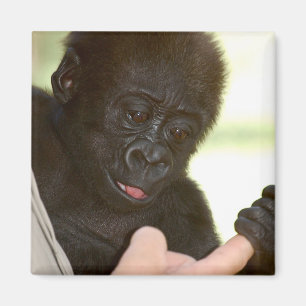 Mag ik je hand vasthouden? Magneet