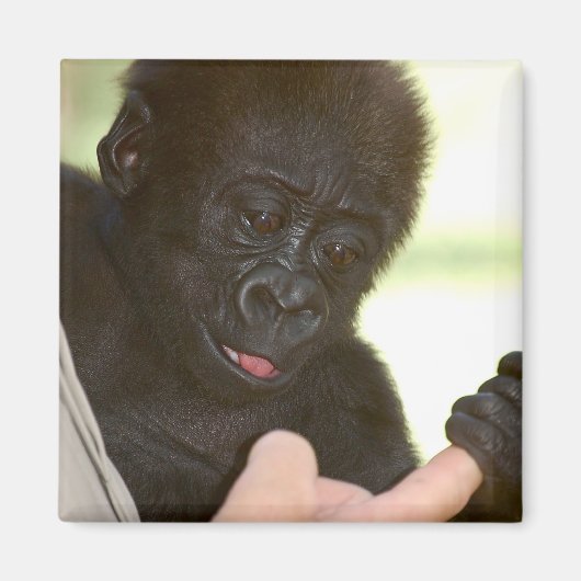 Mag ik je hand vasthouden? Magneet (Voorkant)