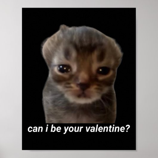 Mag ik je Valentijn zijn Funny Cat Meme Brainrot G Poster (Voorkant)