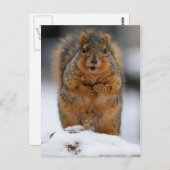 Mag ik mezelf introduceren? briefkaart (Voorkant / Achterkant)