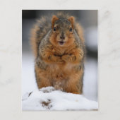 Mag ik mezelf introduceren? briefkaart (Voorkant)