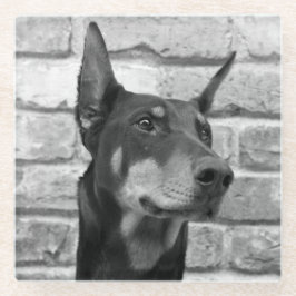 Mag ik Uw Gezicht likken Glazen Onderzetter