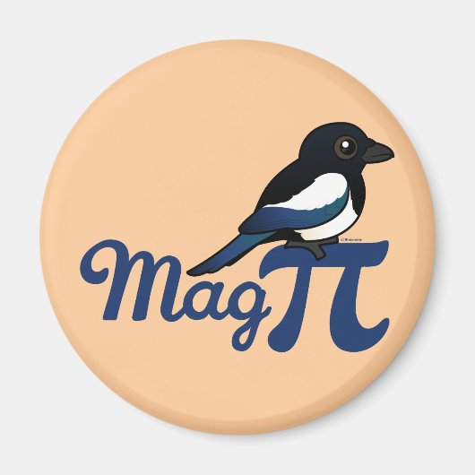 Mag PI Magneet (Voorkant)