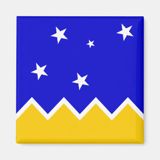 Magallanes, Chili, Antarctica-vlag Magneet