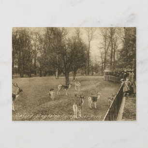 Magdalen College, Oxford, England  Briefkaart