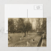 Magdalen College, Oxford, Vintage van Engeland Briefkaart (Voorkant / Achterkant)