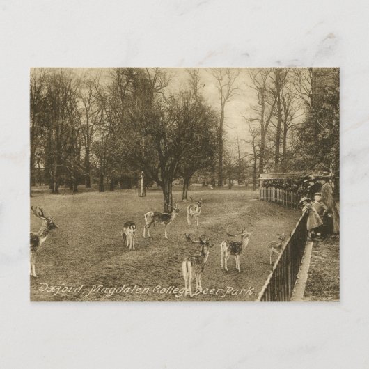 Magdalen College, Oxford, Vintage van Engeland Briefkaart (Voorkant)