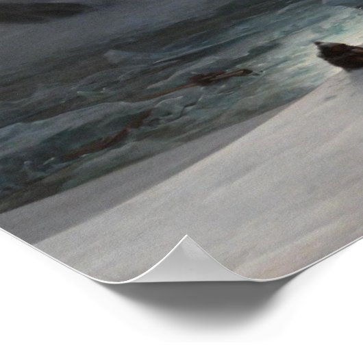 Magdalena Bay Poster (Hoek)