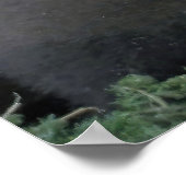 Magdalena Penguin Colony Poster (Hoek)