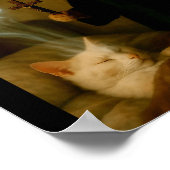 Mage Kat Meme Kat Bezwering Muis Grappig Fantasie Poster (Hoek)