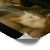 Mage Kat Meme Kat Exorcisme Muis Grappige Fantasy Poster (Hoek)