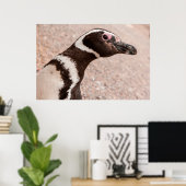 Magelhaanse pinguïn, Patagonië, Argentinië Poster (Thuiskantoor)