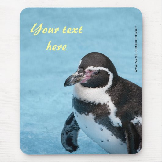 Magelhaen Pinguïn Mousepad Muismat (Voorkant)
