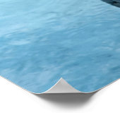 Magelhaen pinguïn Poster (Hoek)