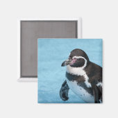 Magelhaense Pinguïn Magneet (Voorkant / Achterkant)