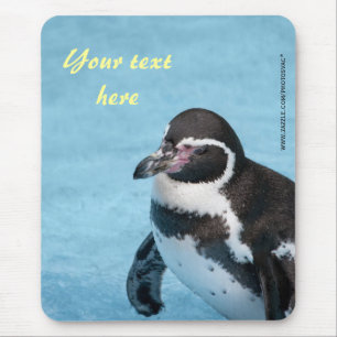 Magelhaense Pinguïn Muismat