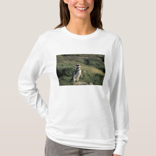 Magelhaense Pinguïn (Spheniscus magellanicus), T-shirt (Voorkant)