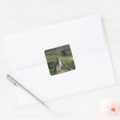 Magelhaense Pinguïn (Spheniscus magellanicus), Vierkante Sticker (Envelop)