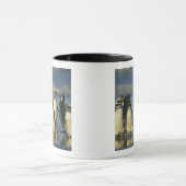 Magelhaense Pinguïns, Spheniscus Mok (Midden)