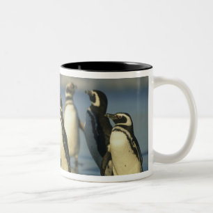 Magelhaense Pinguïns, Spheniscus Tweekleurige Koffiemok