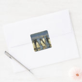 Magelhaense Pinguïns, Spheniscus Vierkante Sticker (Envelop)