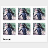 Magellaanse pinguïn in Schiereiland Valdes - Argen Vierkante Sticker (Vel)