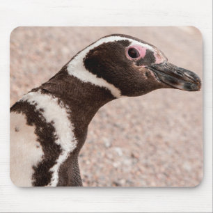 Magellaanse Pinguïn, Patagonië, Argentinië Muismat