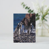 Magellanic Penguin Briefkaart (Staand voorkant)