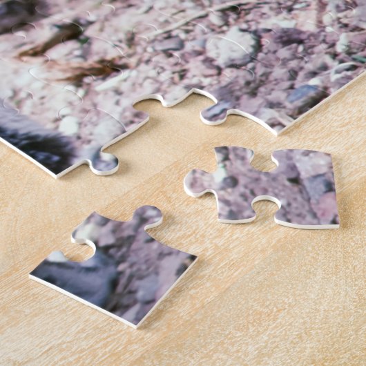 Magellanic Penguin in Peninsula Valdes - Argentini Legpuzzel (Zijkant)