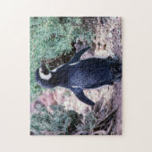 Magellanic Penguin in Peninsula Valdes - Argentini Legpuzzel (Verticaal)