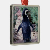 Magellanic Penguin in Peninsula Valdes - Argentini Metalen Ornament (Rechts)