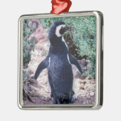 Magellanic Penguin in Peninsula Valdes - Argentini Metalen Ornament (Links)