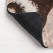 Magellanic Penguin, Patagonia, Argentinië Muismat (Hoek)