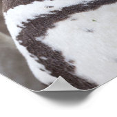 Magellanic Penguin Portrait Poster (Hoek)
