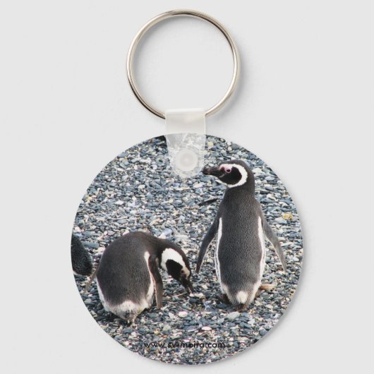 Magellanic Penguins, Beagle Channel, Patagonia Sleutelhanger (Voorkant)