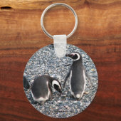 Magellanic Penguins, Beagle Channel, Patagonia Sleutelhanger (Voorkant)
