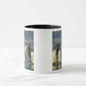 Magellanische pinguïns, Sfeniscus Mok (Midden)