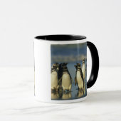 Magellanische pinguïns, Sfeniscus Mok (Voorkant rechts)