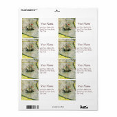 Magellans schip Victoria, Antiek kaart Stille Ocea Etiket (Full Sheet)